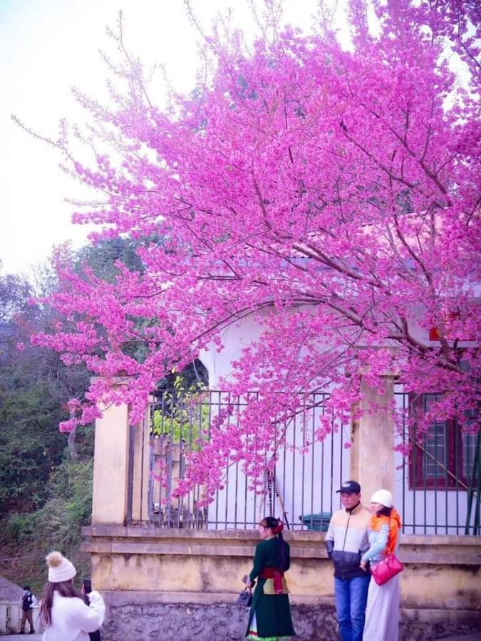 Nha Nghi T&T Hotel Dong Van  Luaran gambar