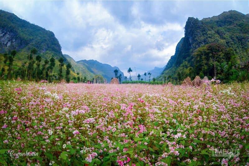 Nha Nghi T&T Hotel Dong Van  Luaran gambar
